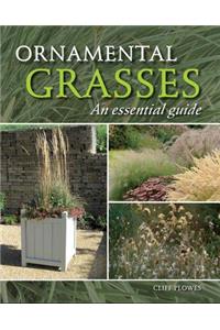 Ornamental Grasses