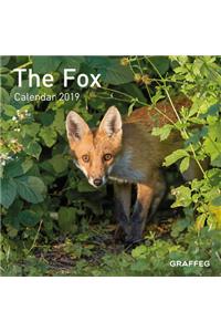 The Fox 2019 Calendar