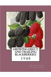 Growing Erect and Trailing Blackberries