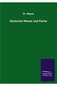 Deutsche Moose und Farne