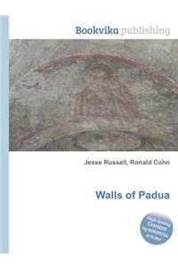 Walls of Padua
