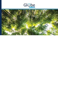 Sola-gela biomimetiska keramisko materialu ieguve