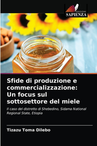 Sfide di produzione e commercializzazione