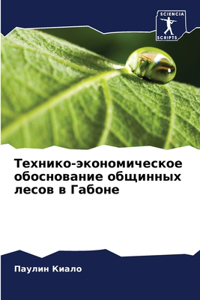 Технико-экономическое обоснование общи