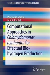 Computational Approaches in Chlamydomonas Reinhardtii for Effectual Bio-Hydrogen Production