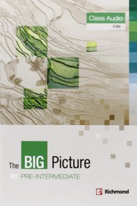 The Big Picture Pre-Intermediate Class Audio CDs