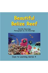 Beautiful Belize Reef