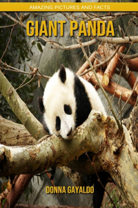 Giant panda