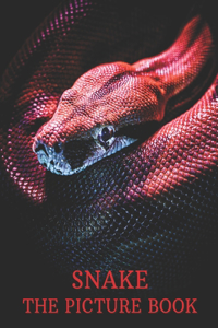 Snake