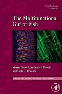 Fish Physiology: The Multifunctional Gut of Fish: Volume 30
