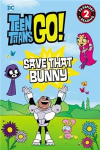 Teen Titans Go!: Save That Bunny