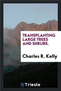 Transplanting Large Trees and Shrubs