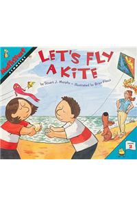 Lets Fly a Kite