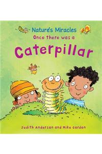 Once there was a Caterpillar