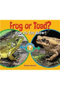 Frog or Toad?