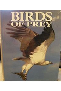 Birds of Prey