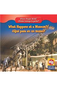 What Happens at a Museum? / ¿Qué Pasa En Un Museo?