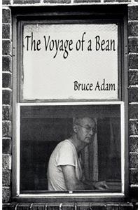 The Voyage of a Bean