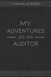 My Adventures As An Auditor