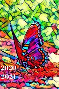 Pretty Teal Blue Red Orange Colorful Butterfly Cute 25 Month Weekly Planer Dated Calendar for Women