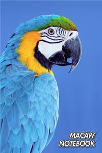 Macaw Notebook