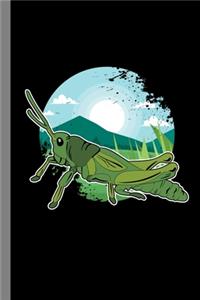 Grasshopper