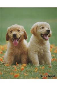 Dog Notebook