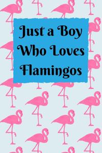 Just a Boy Who Loves Flamingos