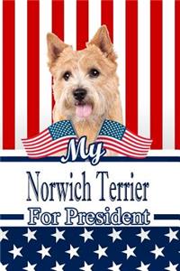 My Norwich Terrier for President
