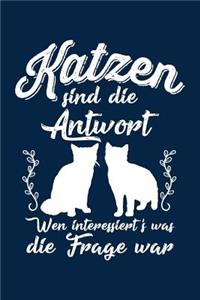 Katzen Immer Die Antwort