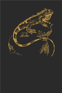 Gold Iguana
