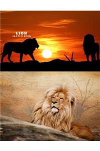 Lion Sketch Book