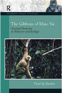 Gibbons of Khao Yai