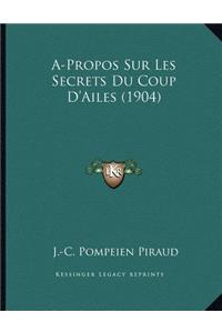 A-Propos Sur Les Secrets Du Coup D'Ailes (1904)