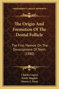 Origin And Formation Of The Dental Follicle