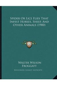 Spider Or Lice Flies That Infest Horses, Sheep, And Other Animals (1900)