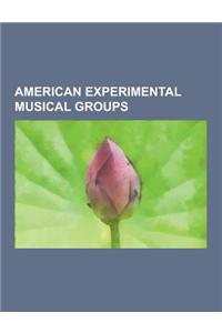 American Experimental Musical Groups