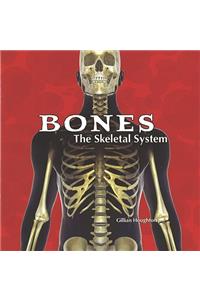 Bones: The Skeletal System