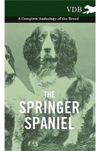 Springer Spaniel - A Complete Anthology of the Breed