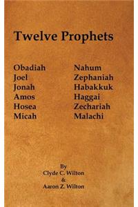 Twelve Prophets