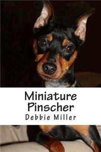 Miniature Pinscher