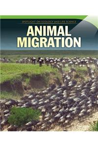 Animal Migration