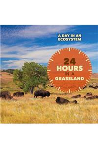 24 Hours in a Grassland