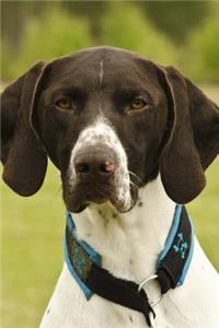 The German Shorthaired Pointer Dog Journal