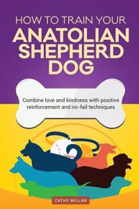 How to Train Your Anatolian Shepherd Dog (Dog Training Collection)