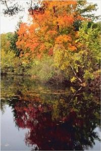Journal Fall Lake Autumn Season