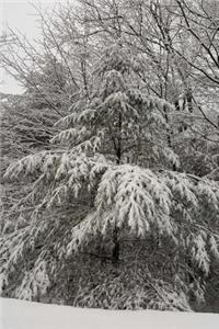 Scenic Winter Photo Journal Snow Covered Evergreen