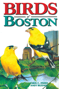 Birds of Boston