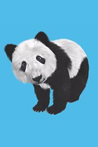Panda Notebook