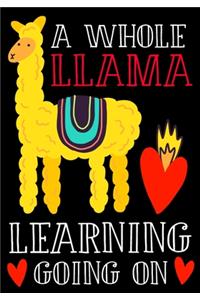 A Whole Llama Learning Going On